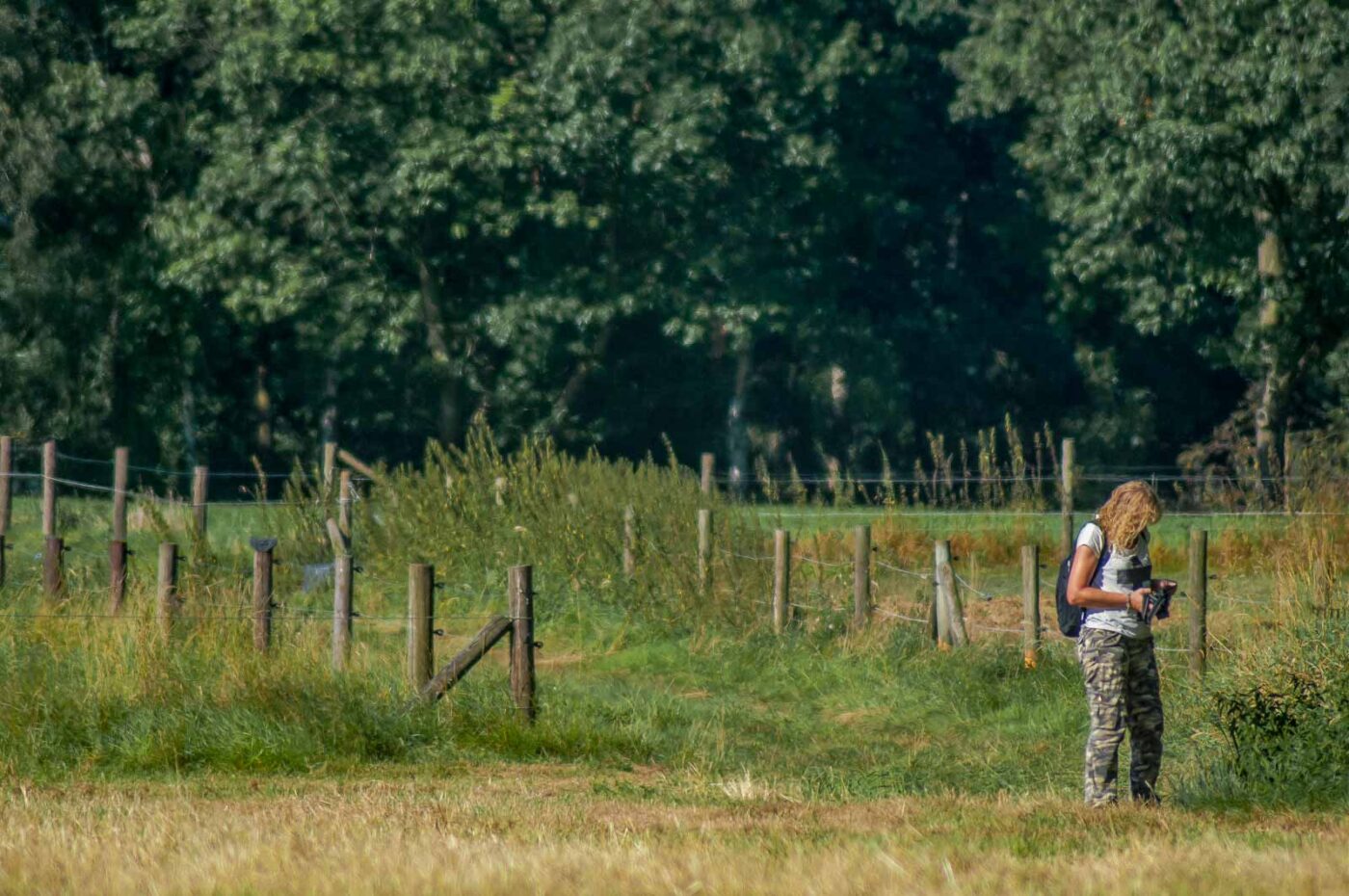 2016-08-31 - NSG Brandheide Recklinghausen