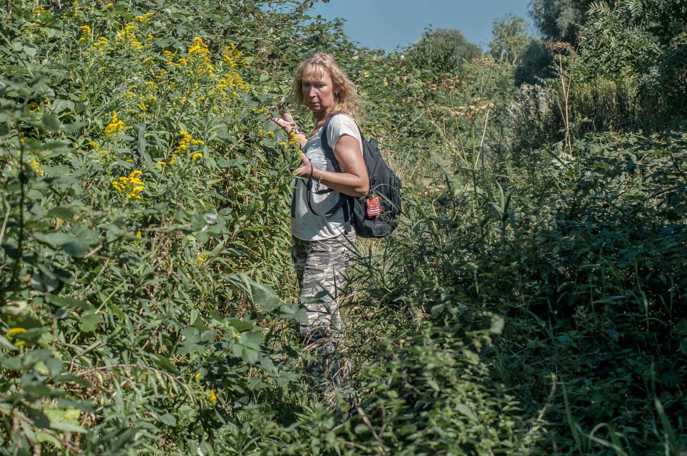 2016-08-31 - NSG Brandheide Recklinghausen