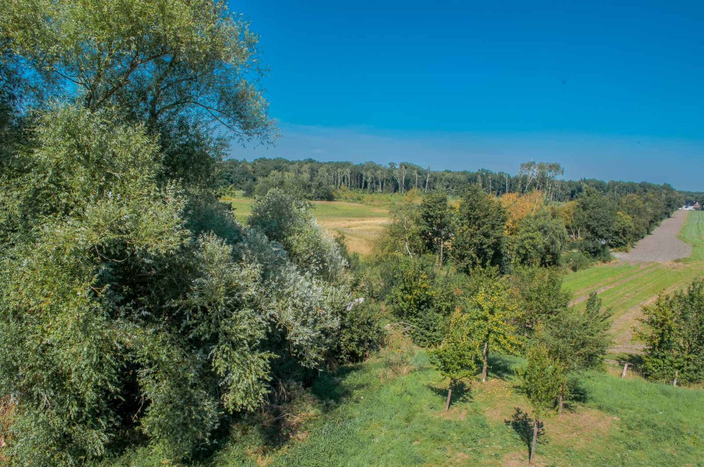 2016-08-31 - NSG Brandheide Recklinghausen