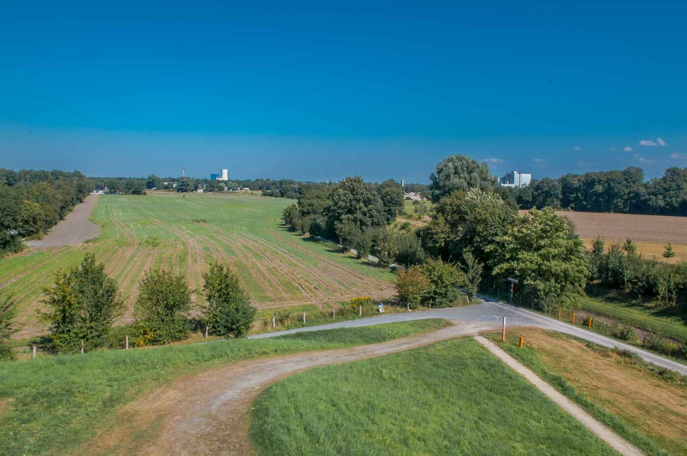 2016-08-31 - NSG Brandheide Recklinghausen