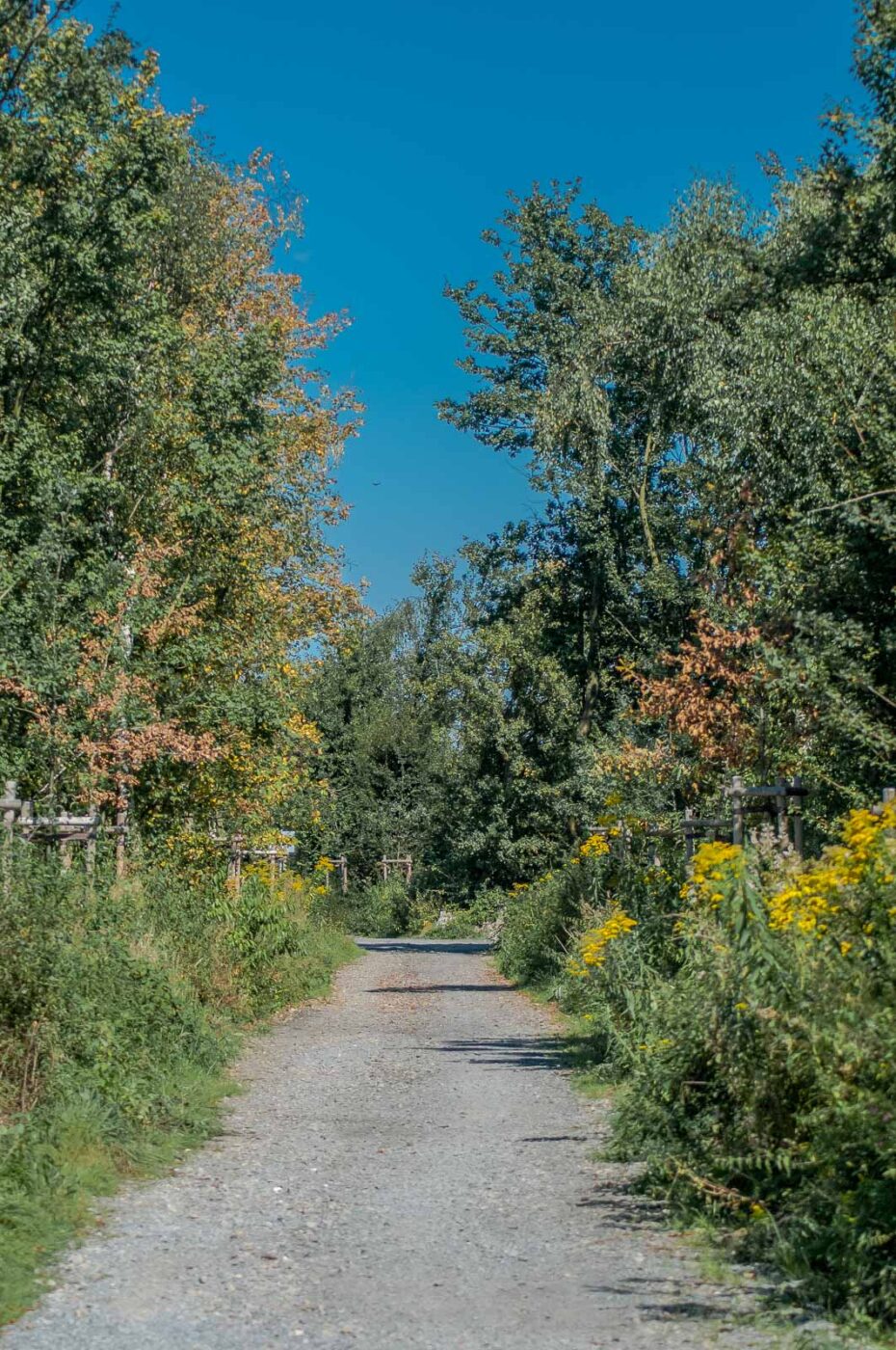 2016-08-31 - NSG Brandheide Recklinghausen