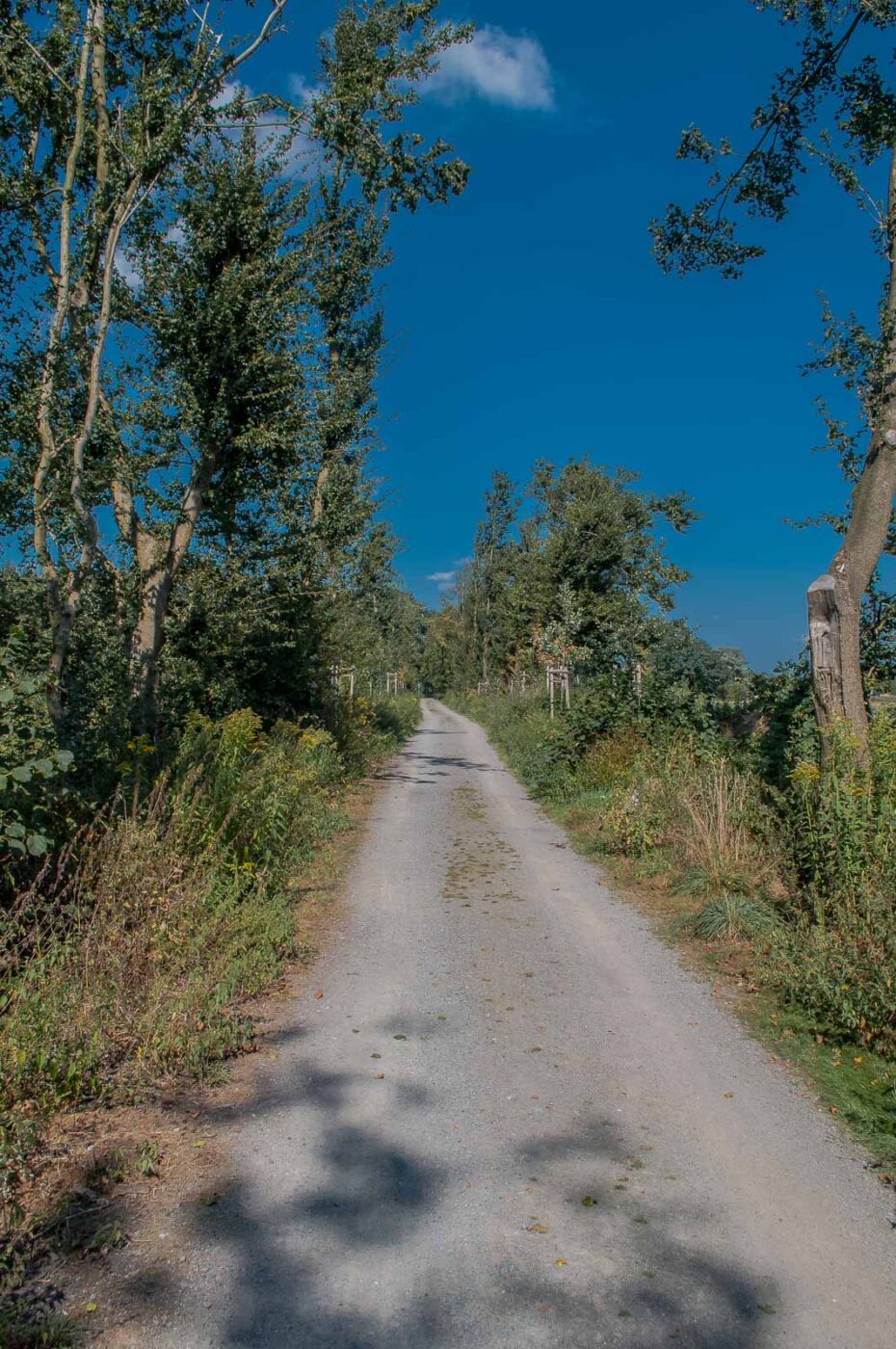 2016-08-31 - NSG Brandheide Recklinghausen