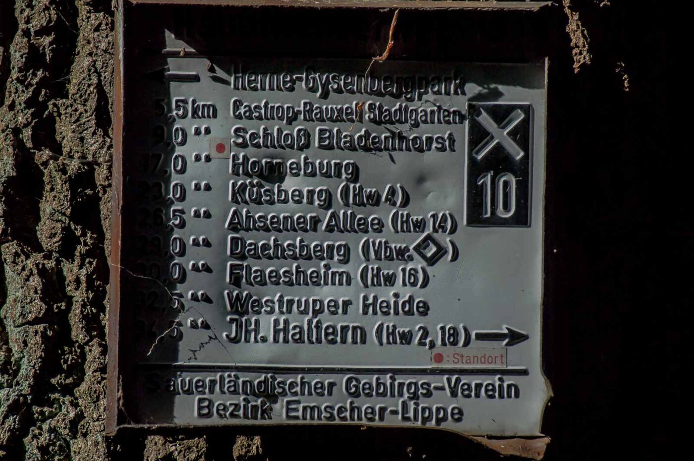 2016-08-31 - NSG Brandheide Recklinghausen