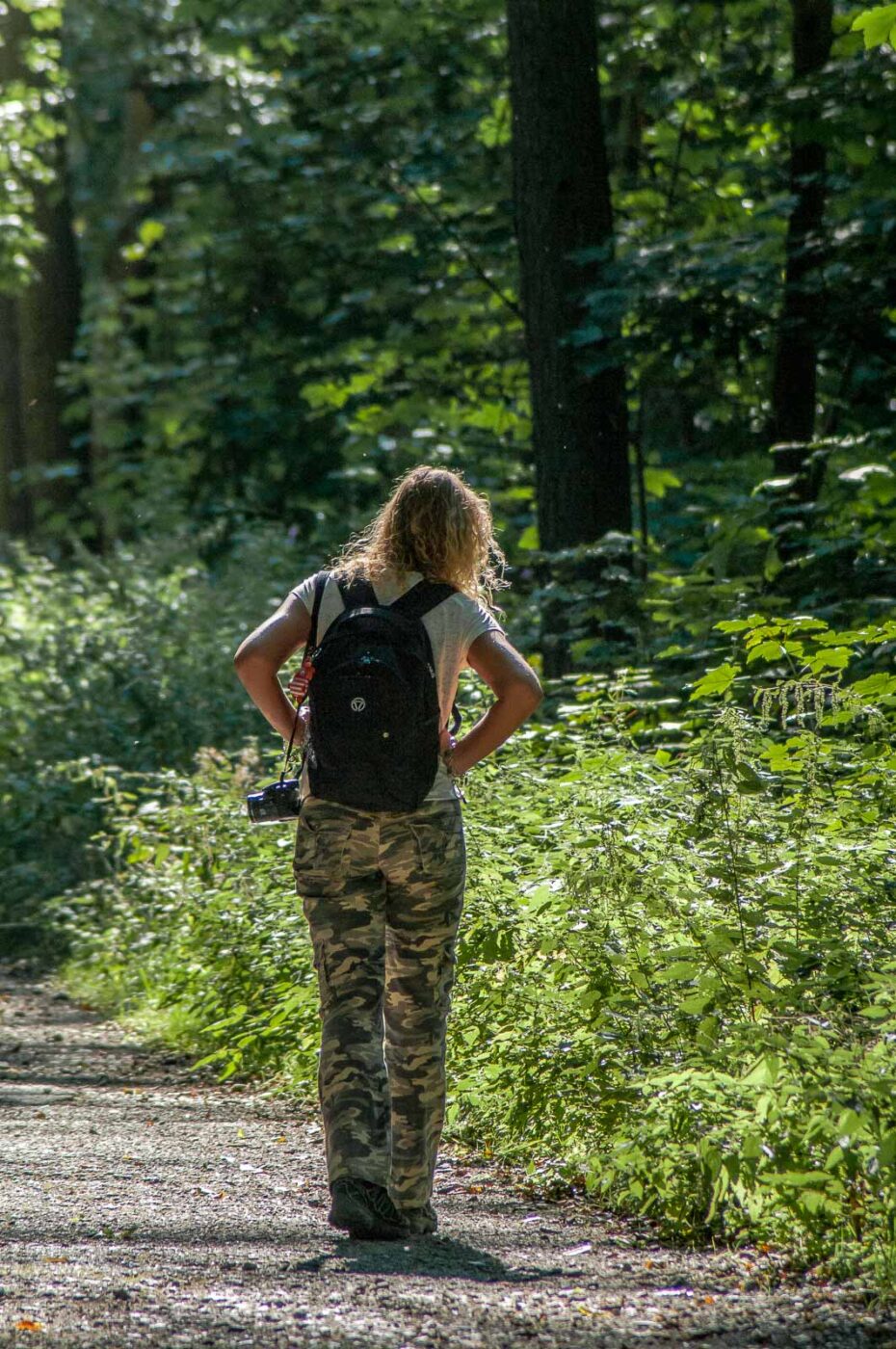 2016-08-31 - NSG Brandheide Recklinghausen