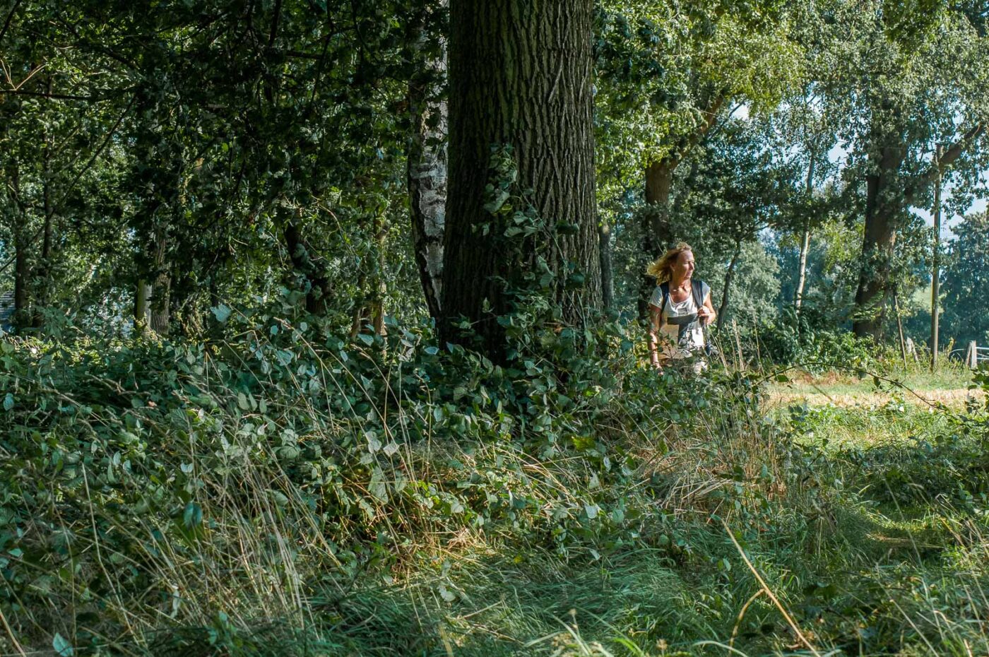 2016-08-31 - NSG Brandheide Recklinghausen