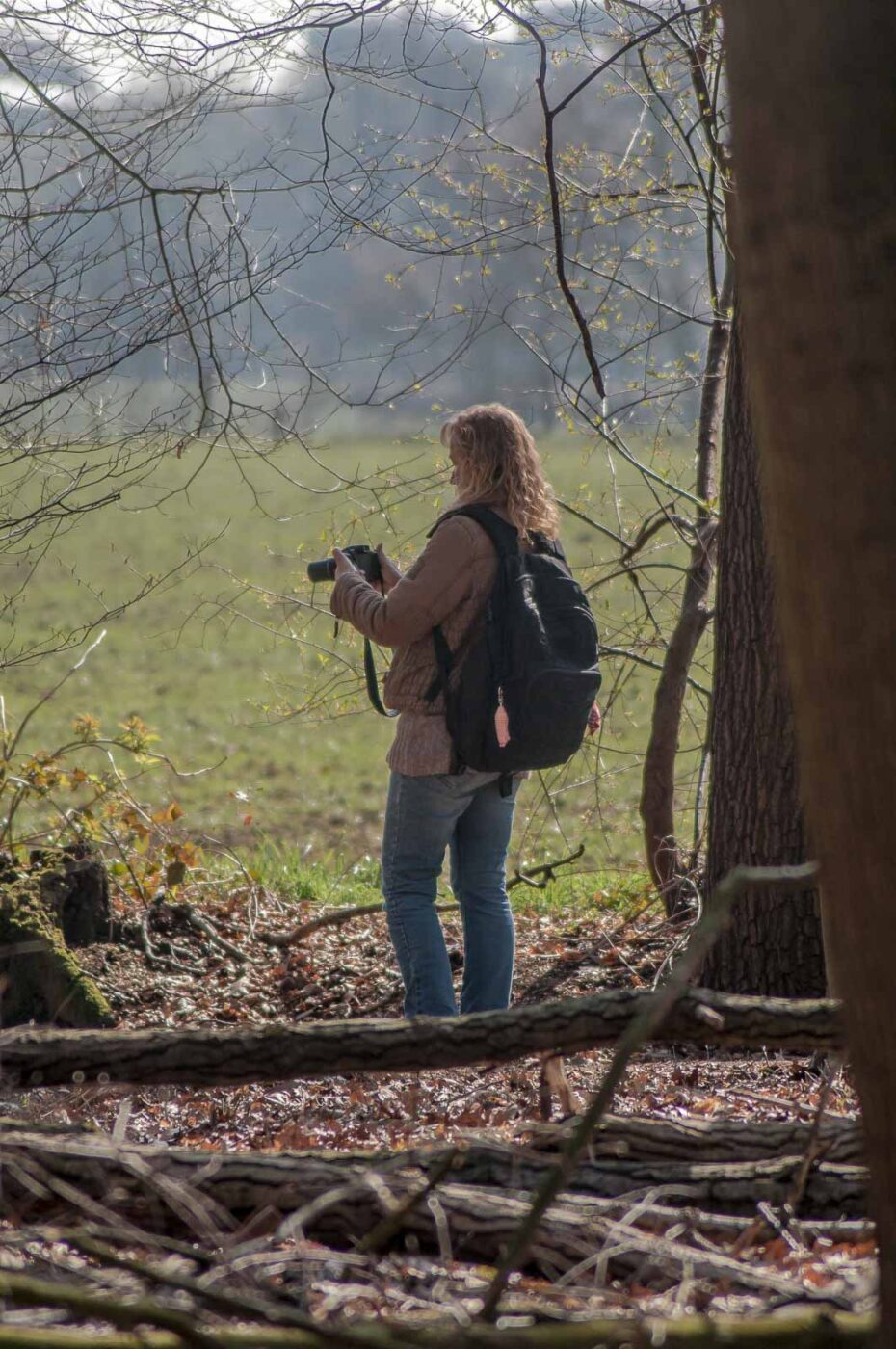 2017-03-26 - NSG Brandheide Recklinghausen