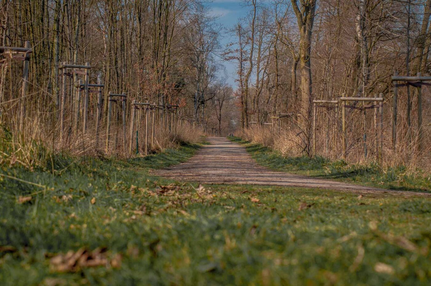 2017-03-26 - NSG Brandheide Recklinghausen