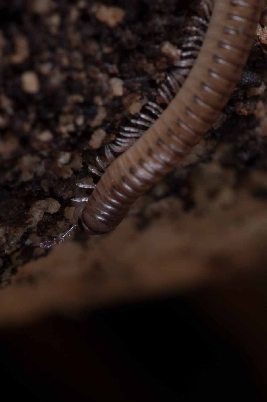 2018-11-03 - NSG Klöppersberg C-R