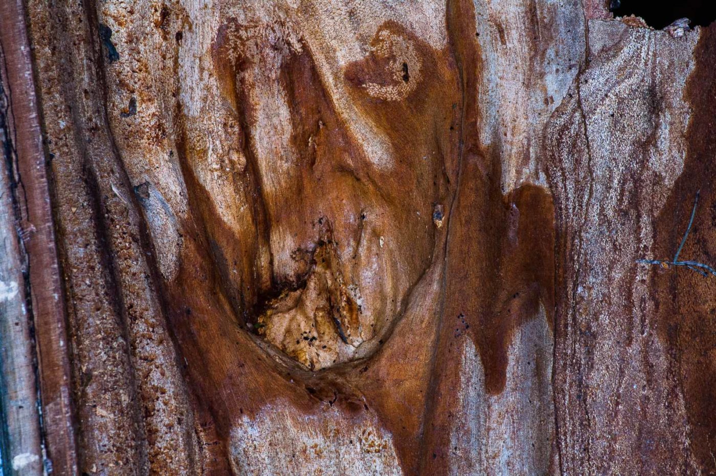 2018-11-06 - NSG Brandheide Recklinghausen