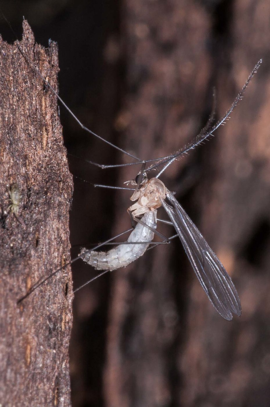 2018-11-09 - NSG Klöppersberg C-R