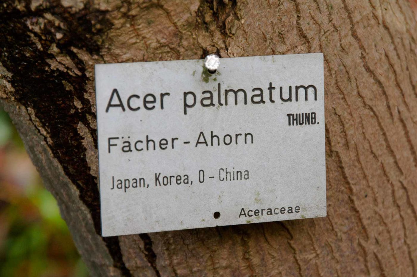 2018-12-04 - RUB - Botanischer Garten