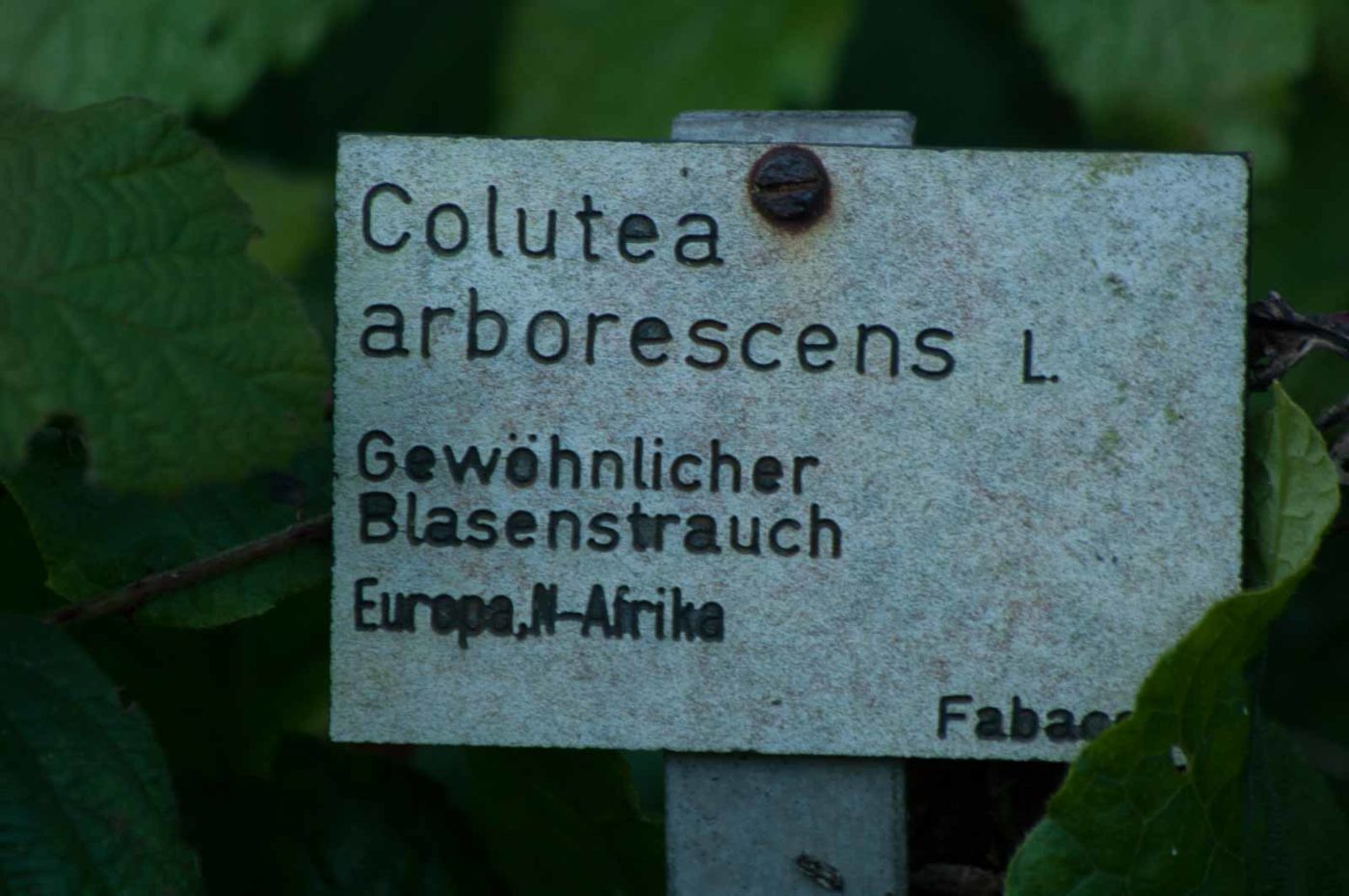 2018-12-04 - RUB - Botanischer Garten