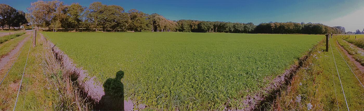 2016-08-31 - NSG Brandheide Recklinghausen