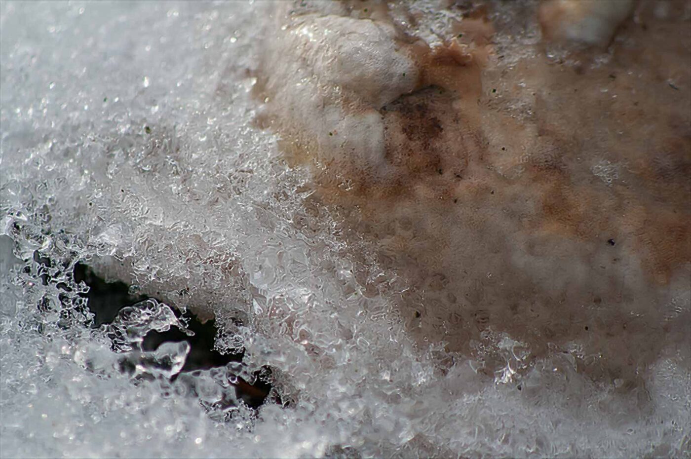 2019-02-04 - NSG Brandheide Recklinghausen