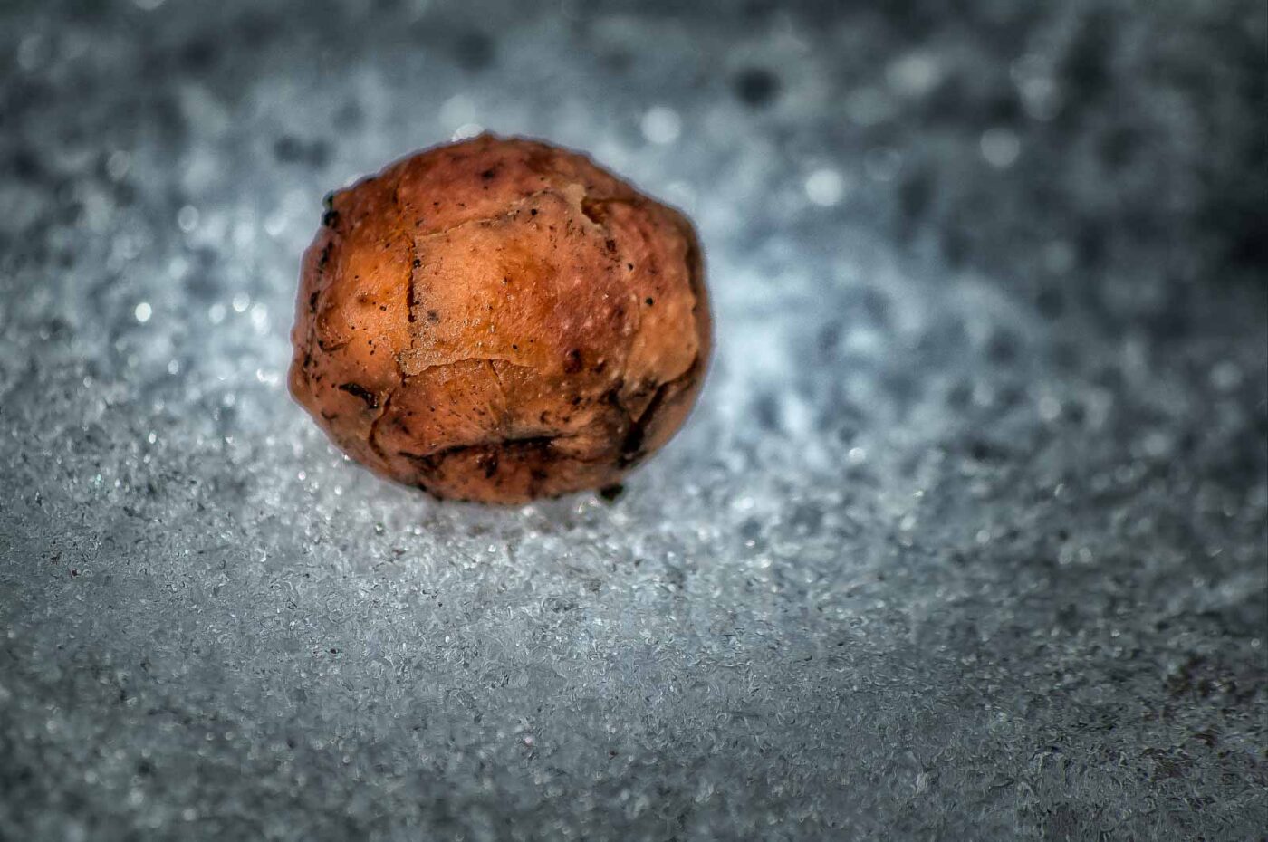 2019-02-04 - NSG Brandheide Recklinghausen