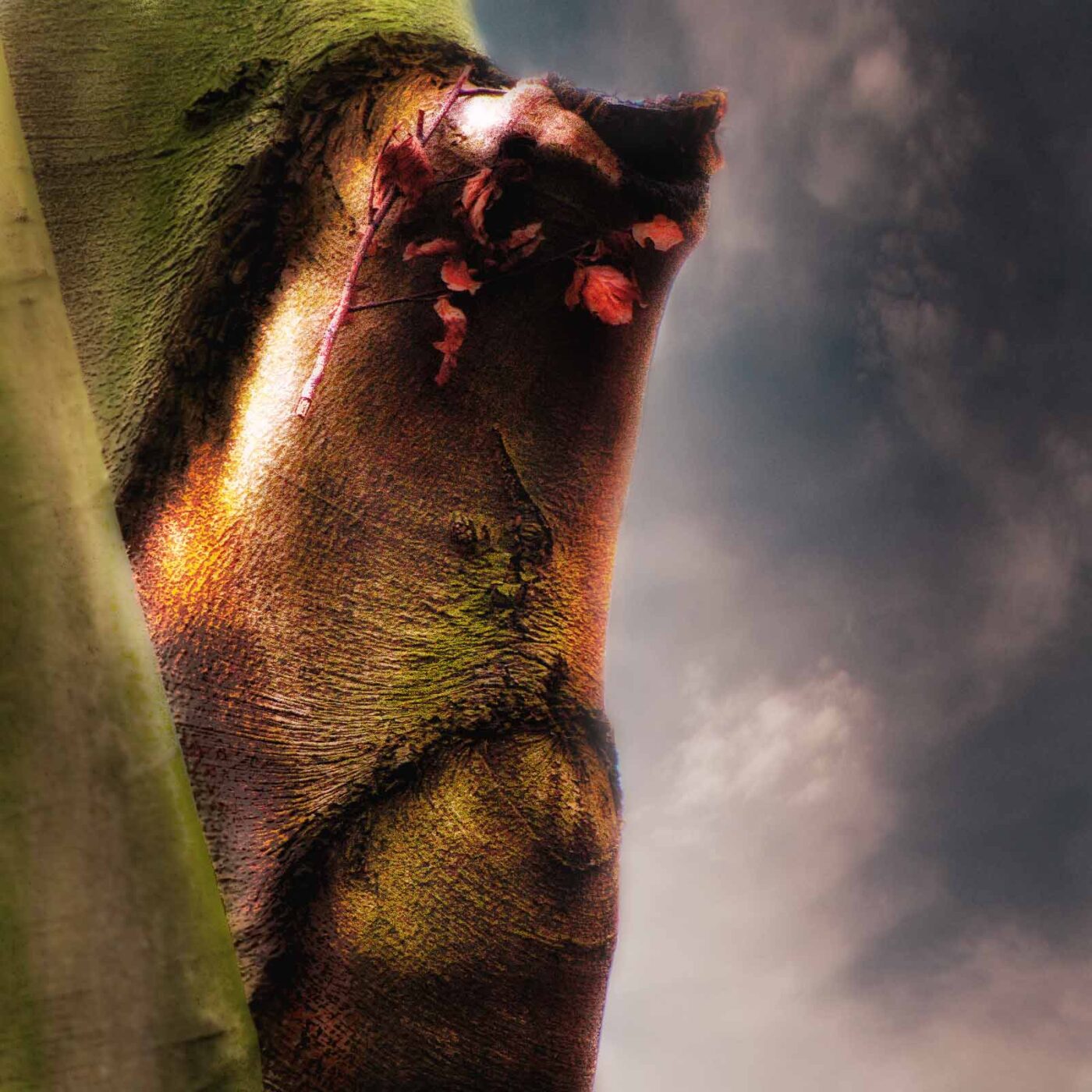 2019-02-04 - NSG Brandheide Recklinghausen