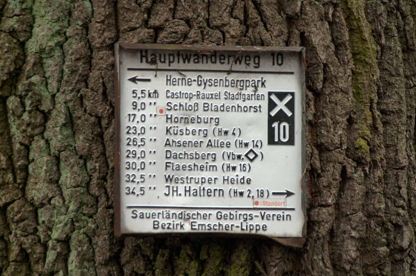 2019-02-04 - NSG Brandheide Recklinghausen