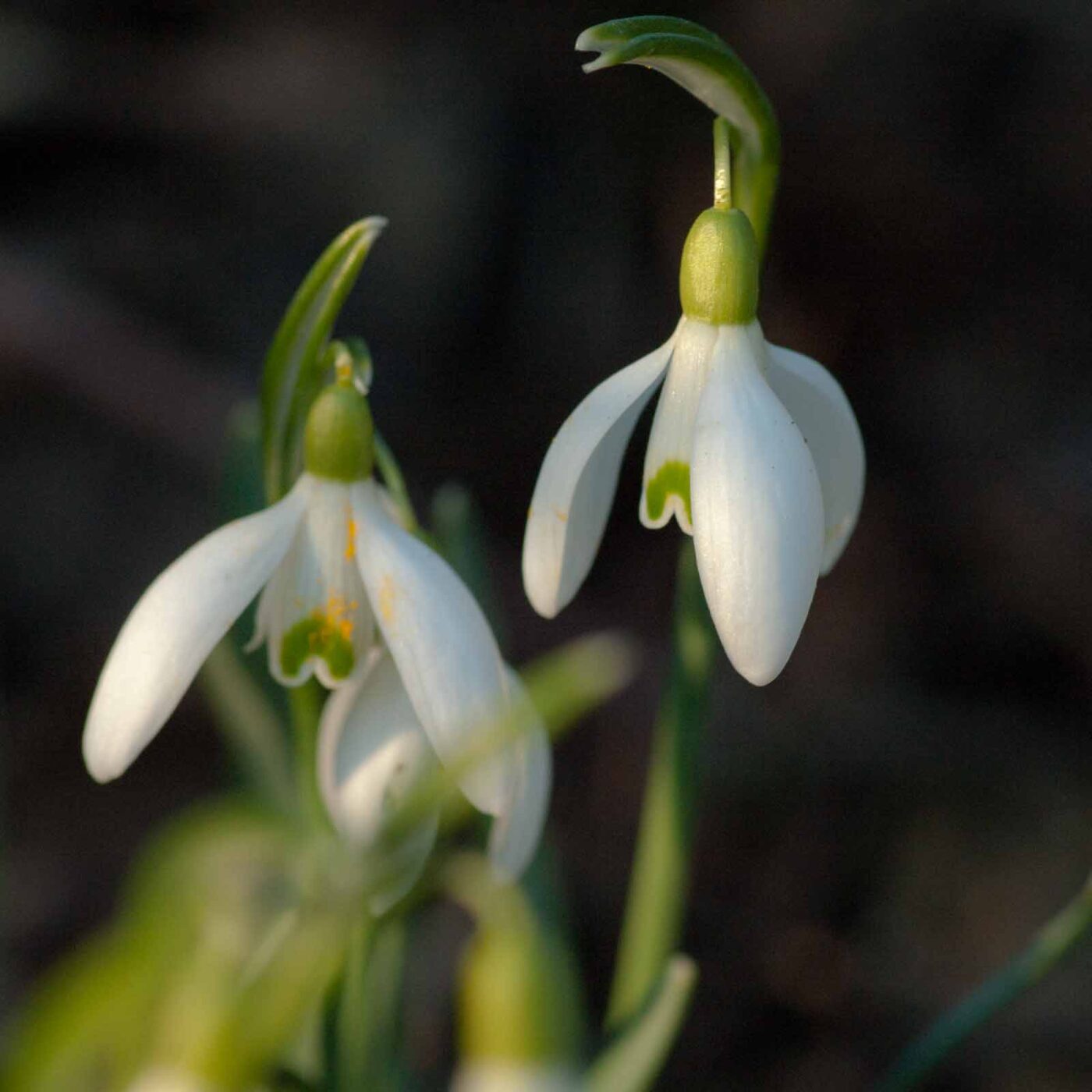 2019-02-05 - EmscherValleyWay Recklinghausen