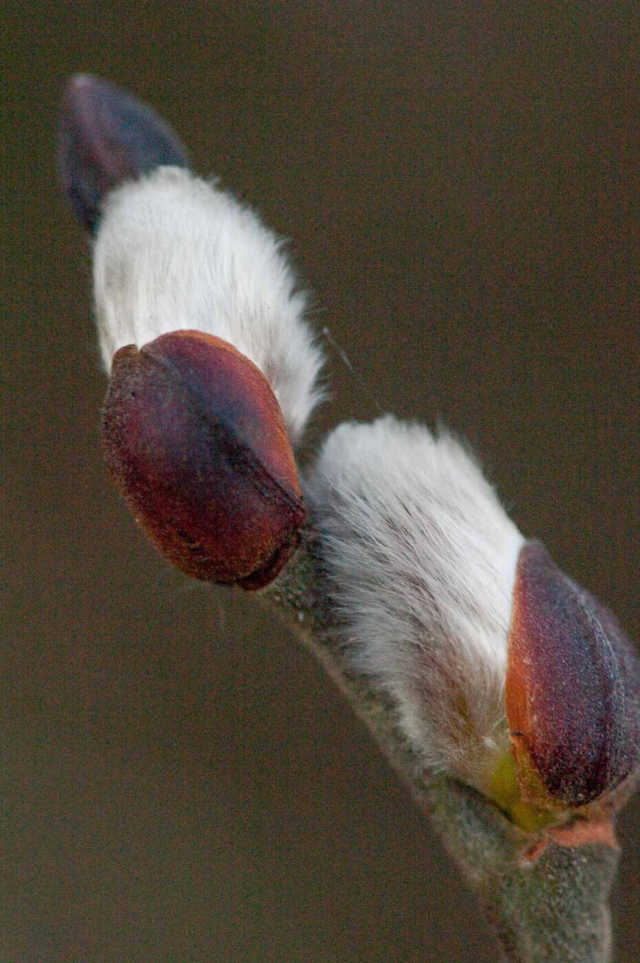 2019-02-05 - EmscherValleyWay Recklinghausen