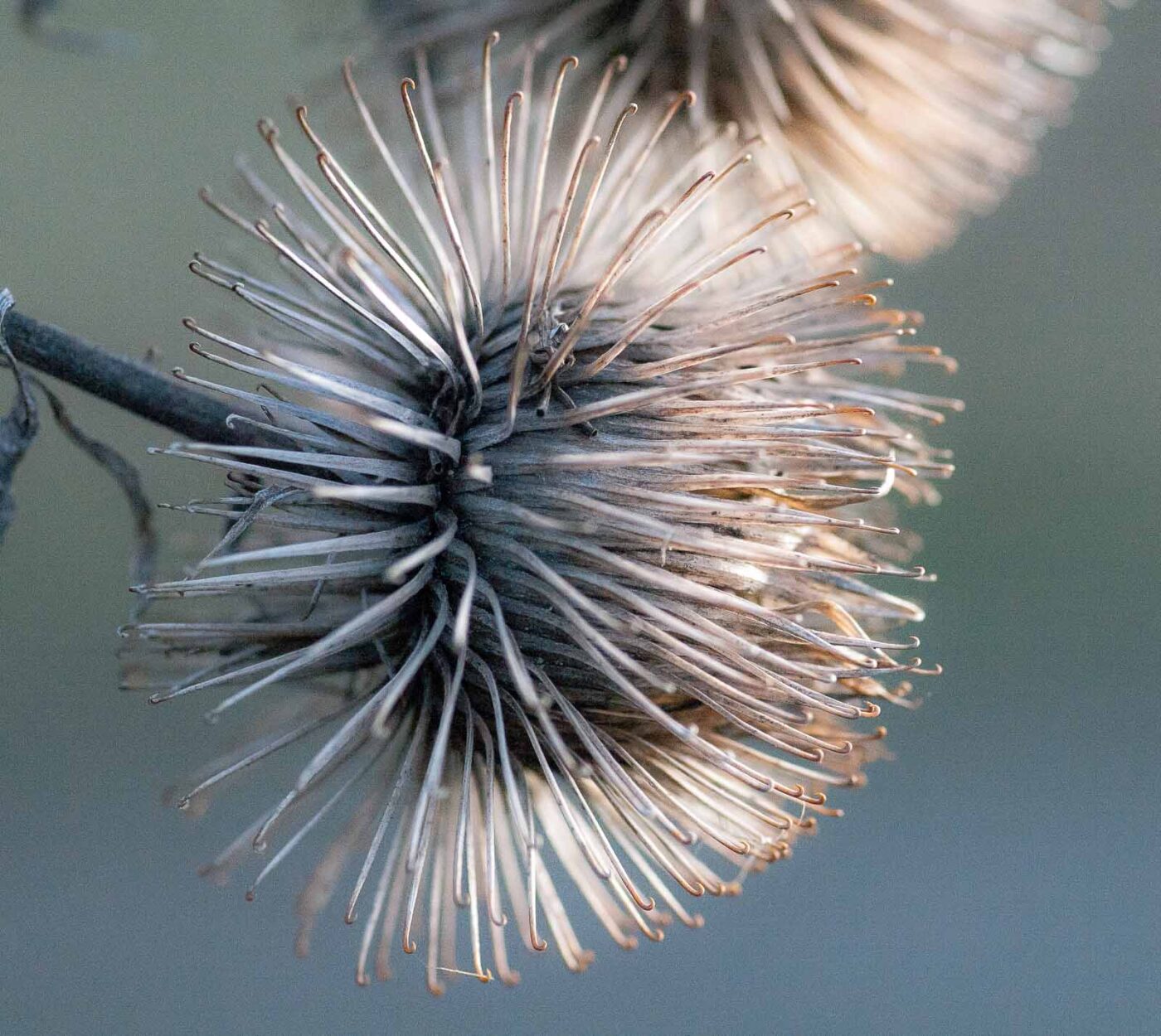 2019-02-05 - EmscherValleyWay Recklinghausen