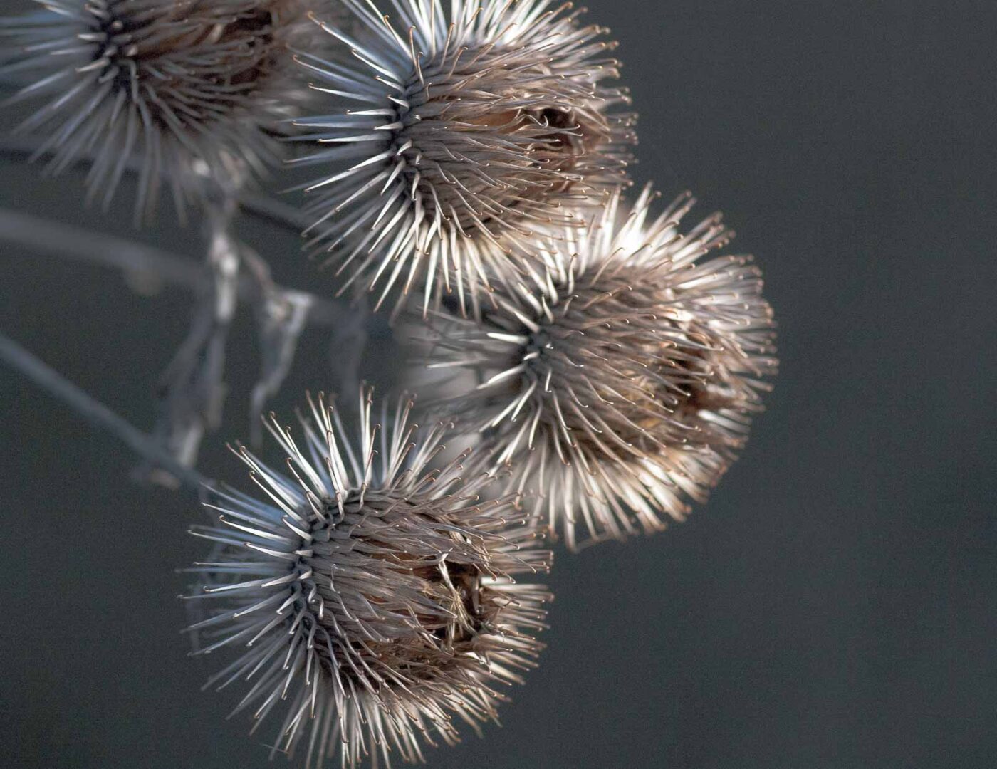 2019-02-05 - EmscherValleyWay Recklinghausen