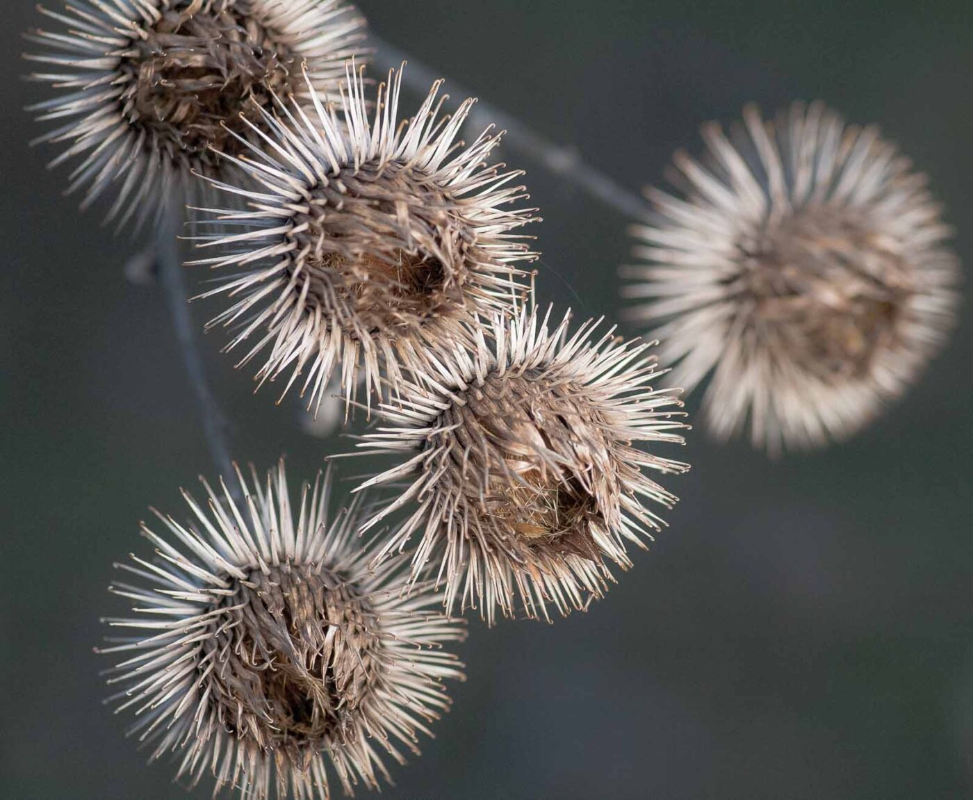 2019-02-05 - EmscherValleyWay Recklinghausen