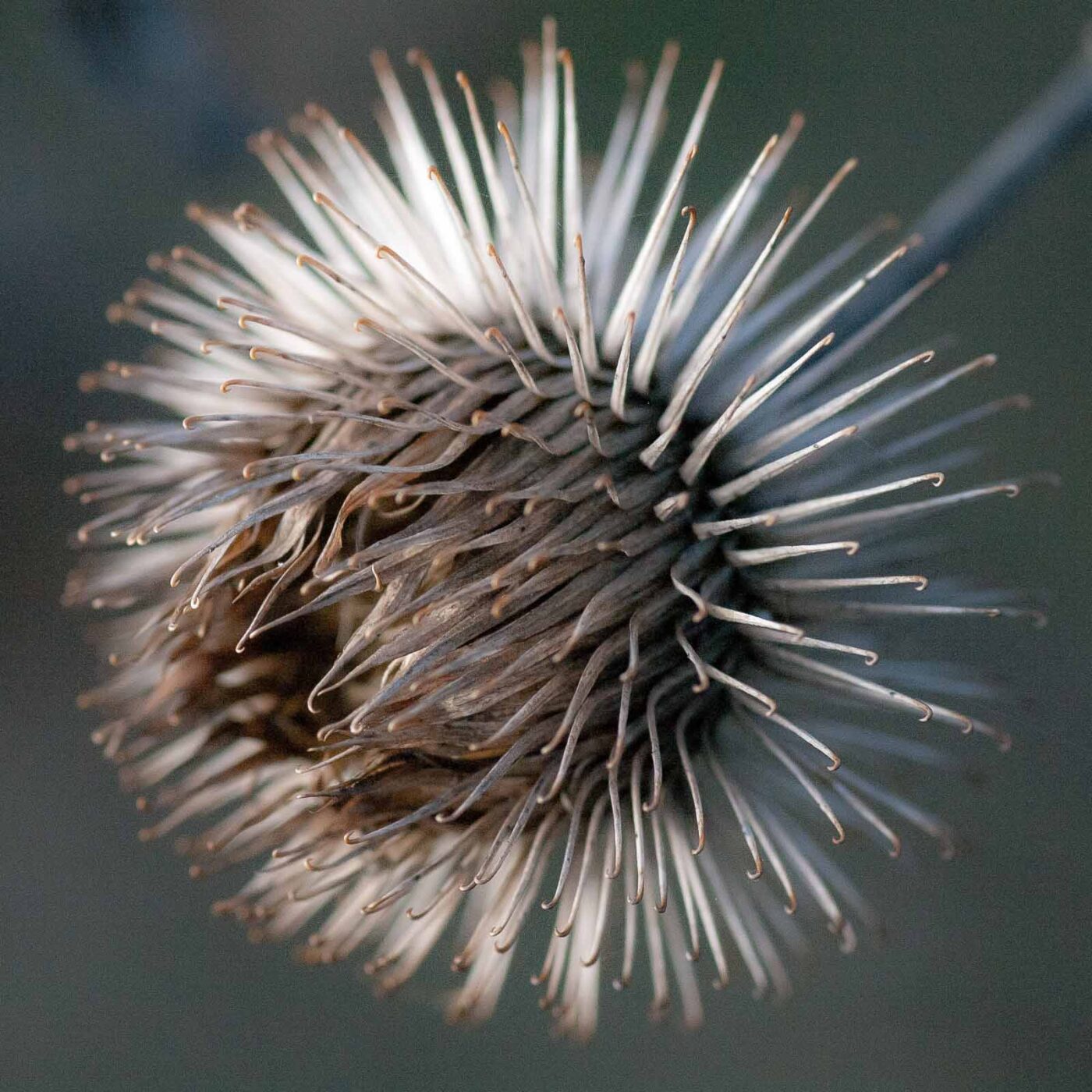 2019-02-05 - EmscherValleyWay Recklinghausen