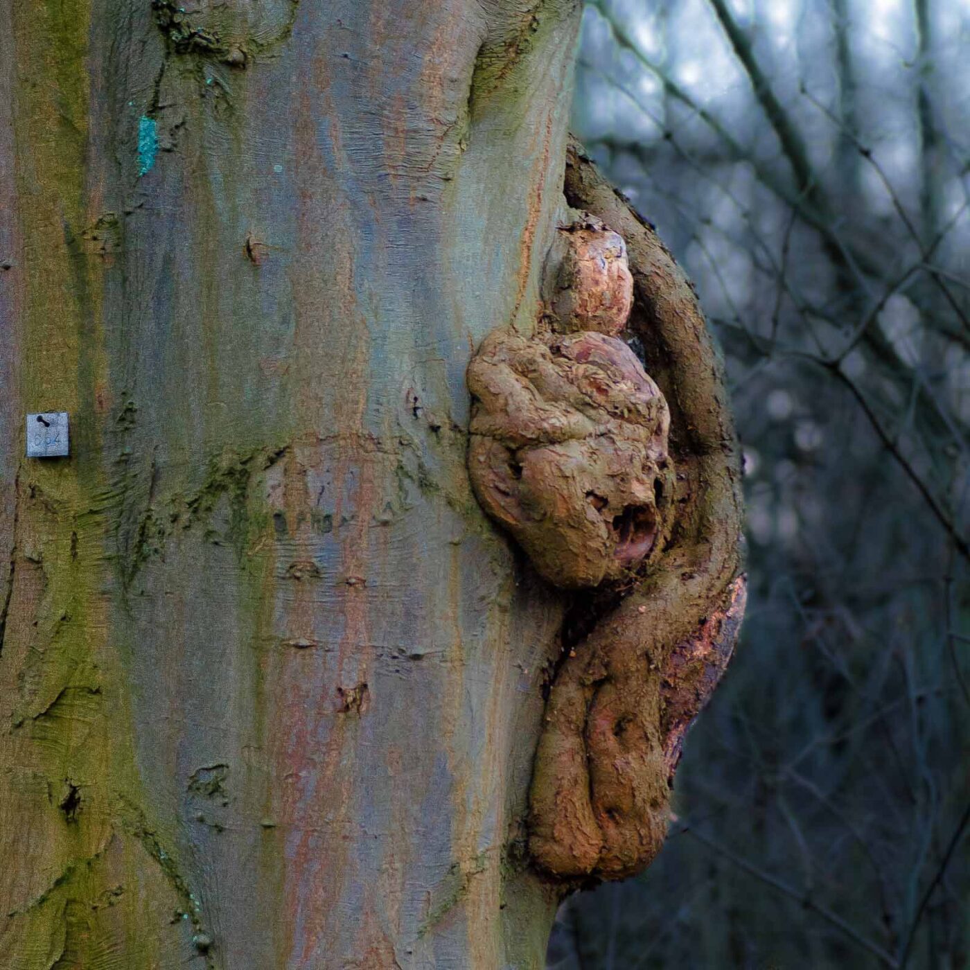 2019-02-05 - EmscherValleyWay Recklinghausen