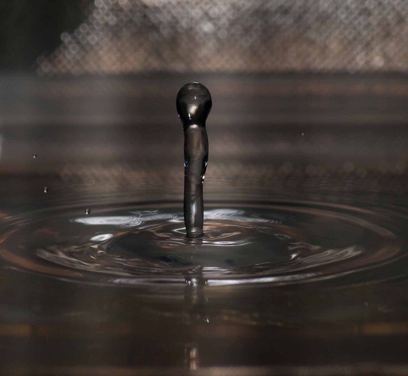 2019-05-28 - Residenzia - HolyHalla - Blitzspielchen