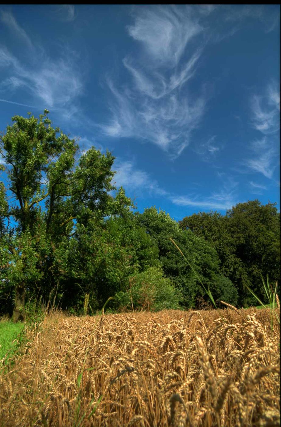 2016-08-07 - NSG Langeloh Herne