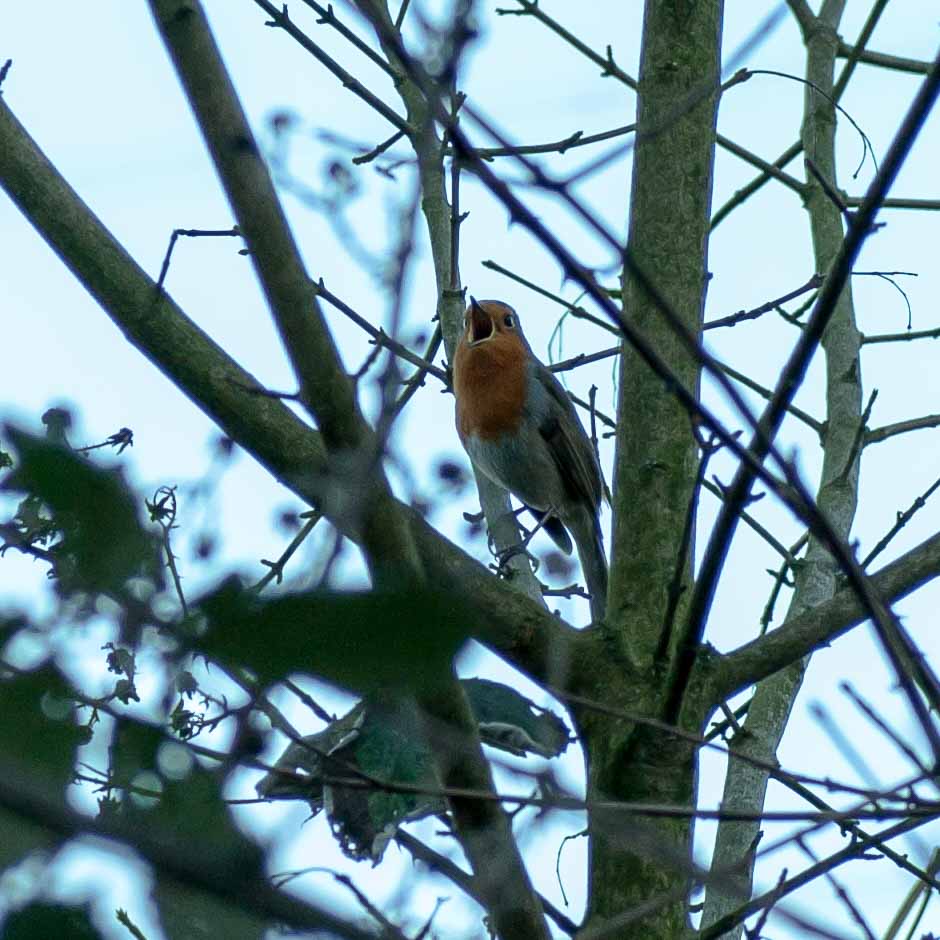 2019-02-05 - EmscherValleyWay Recklinghausen