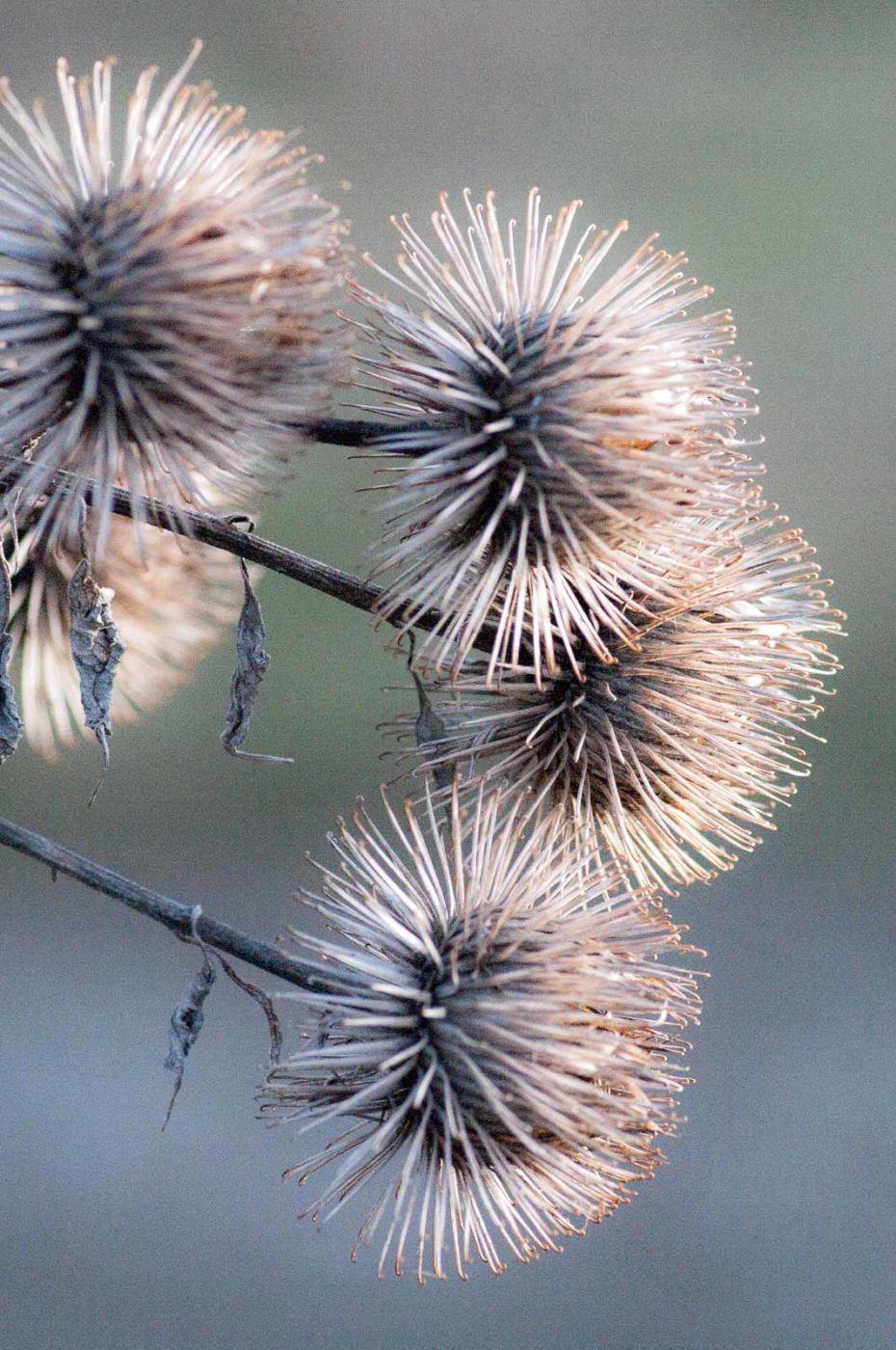 2019-02-05 - EmscherValleyWay Recklinghausen