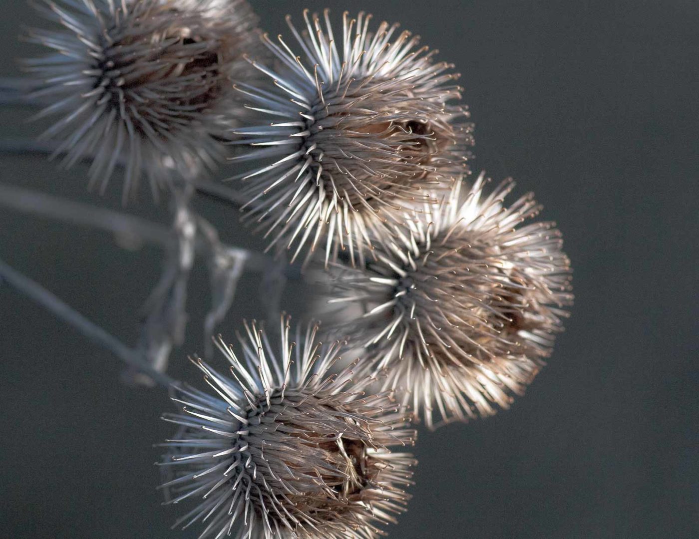 2019-02-05 - EmscherValleyWay Recklinghausen