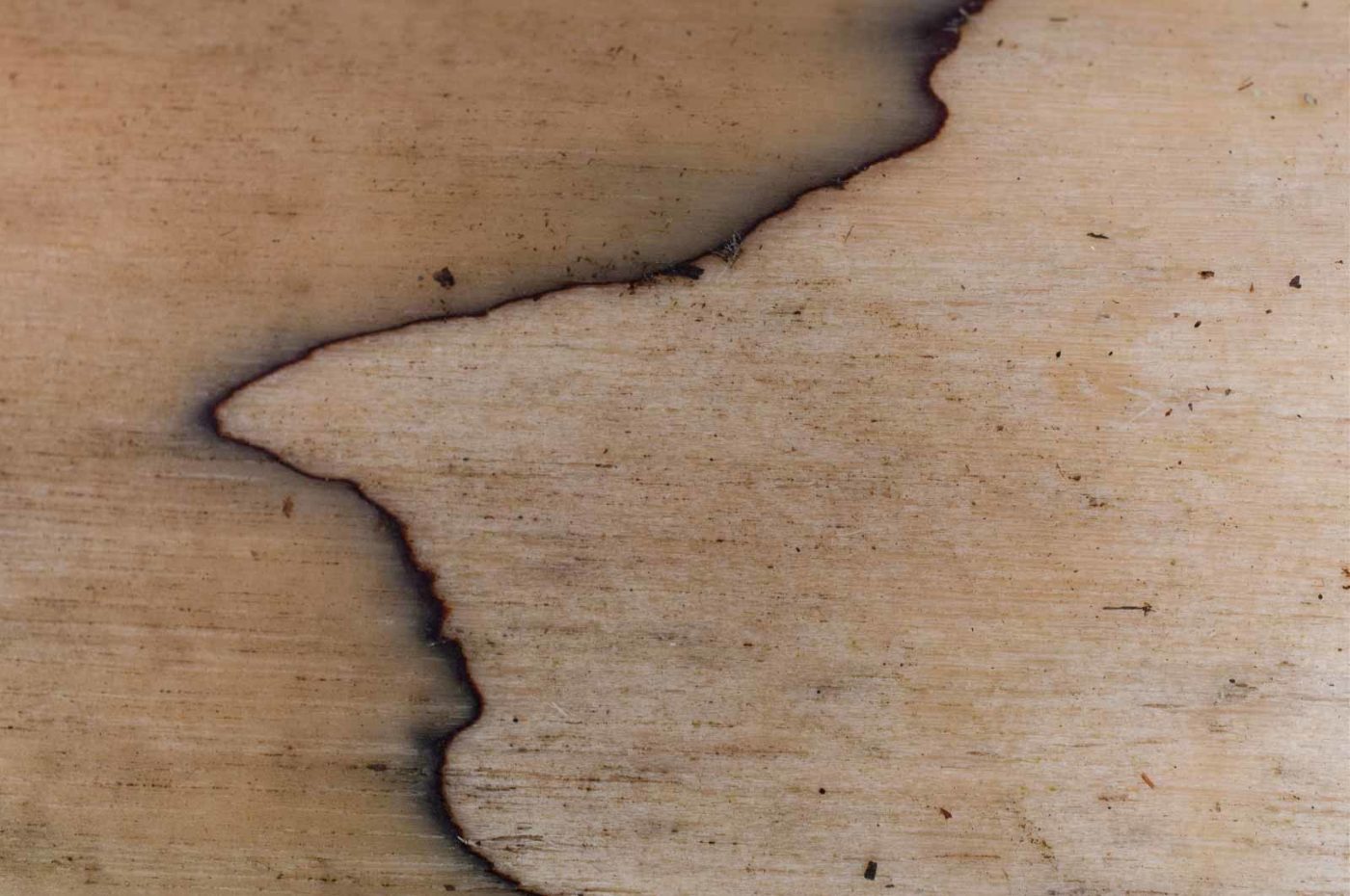 2019-02-16 - NSG Klöppersberg C-R