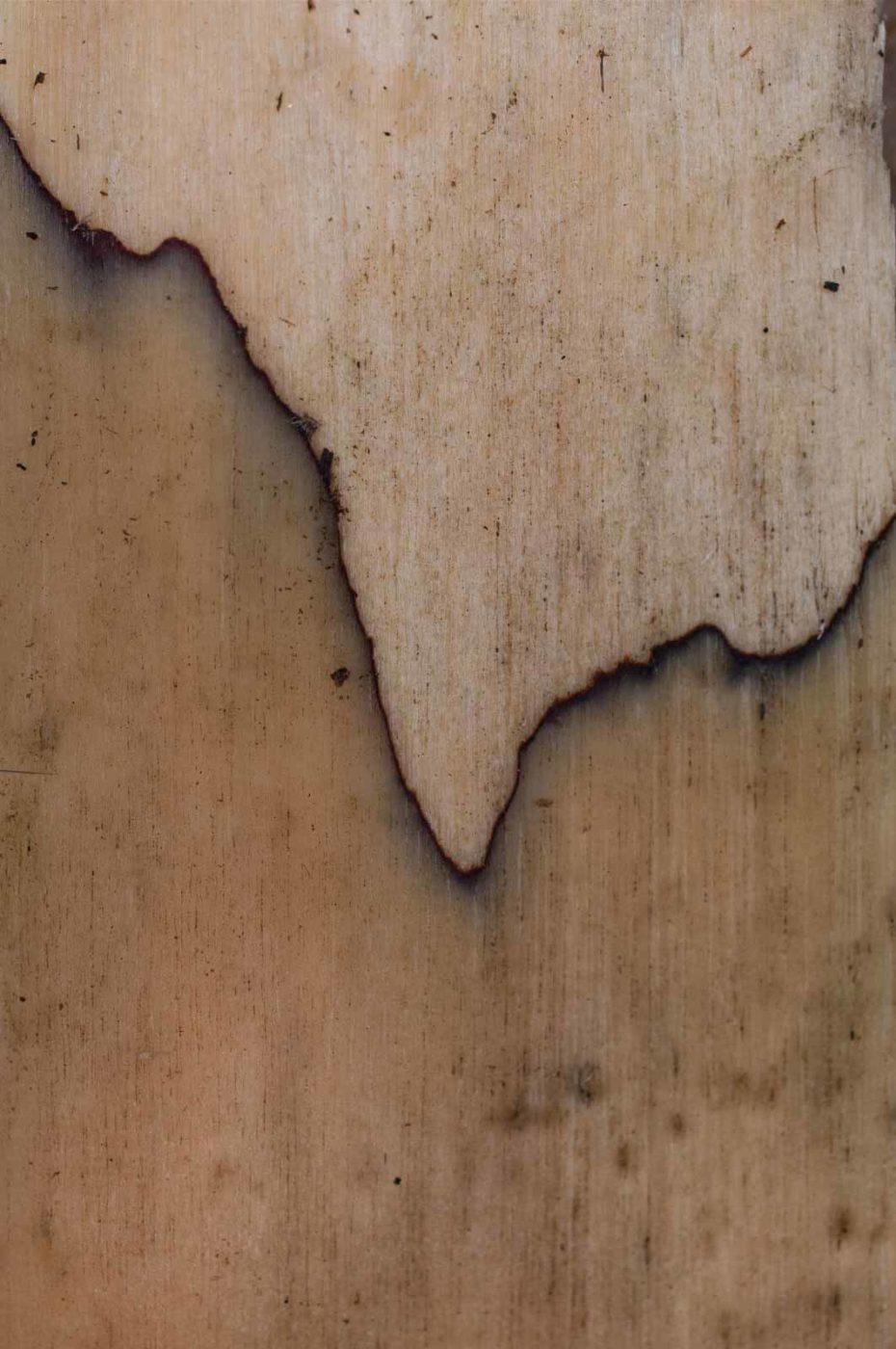 2019-02-16 - NSG Klöppersberg C-R