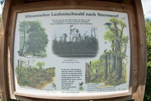 2019-06-14 - Motivsuche in Recklinghausen