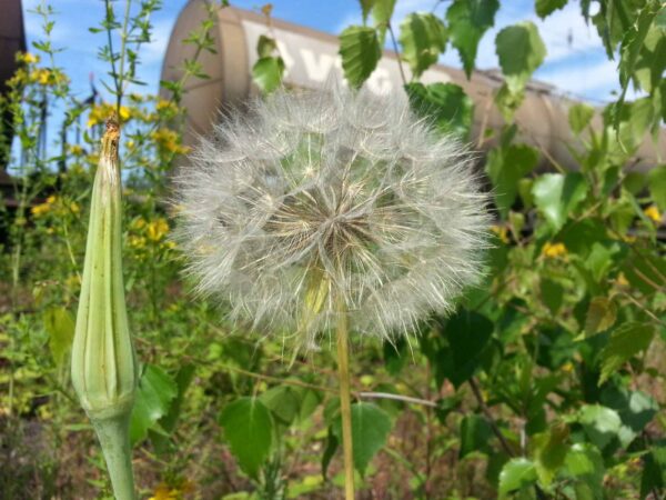 2019-06-14 - Motivsuche in Recklinghausen