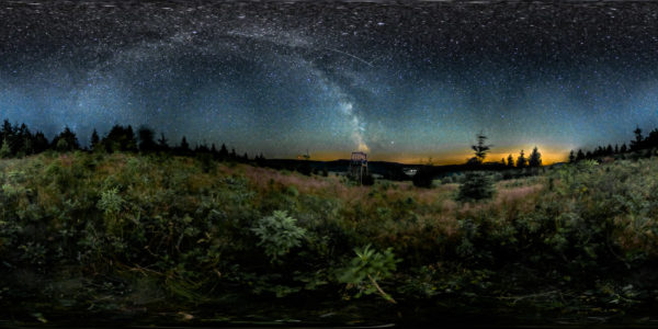 2019-06-30 - NSG Offenlandinsel Osterwald