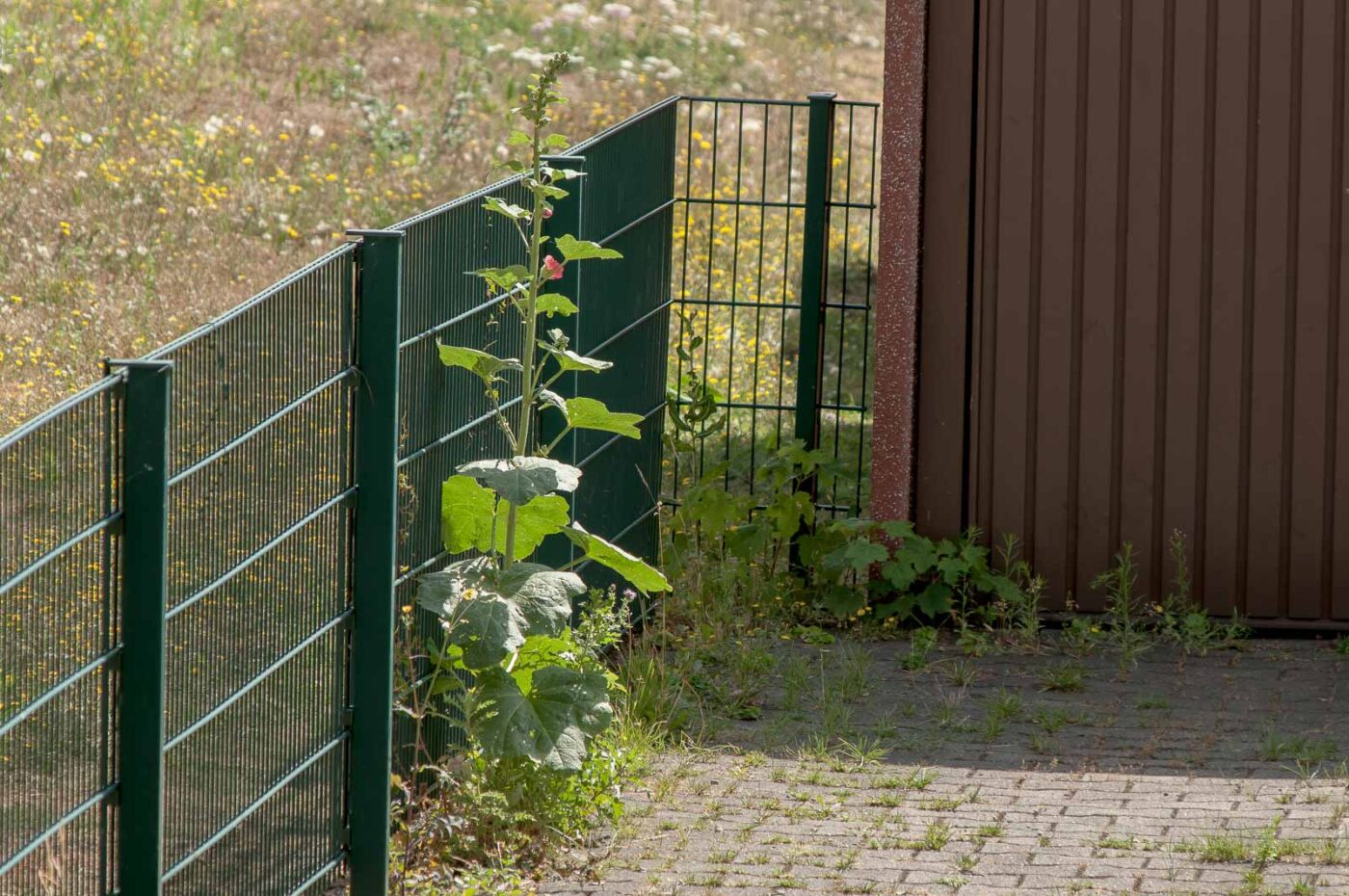 2019-07-10 - RE-Sidenzia - Mittendrin