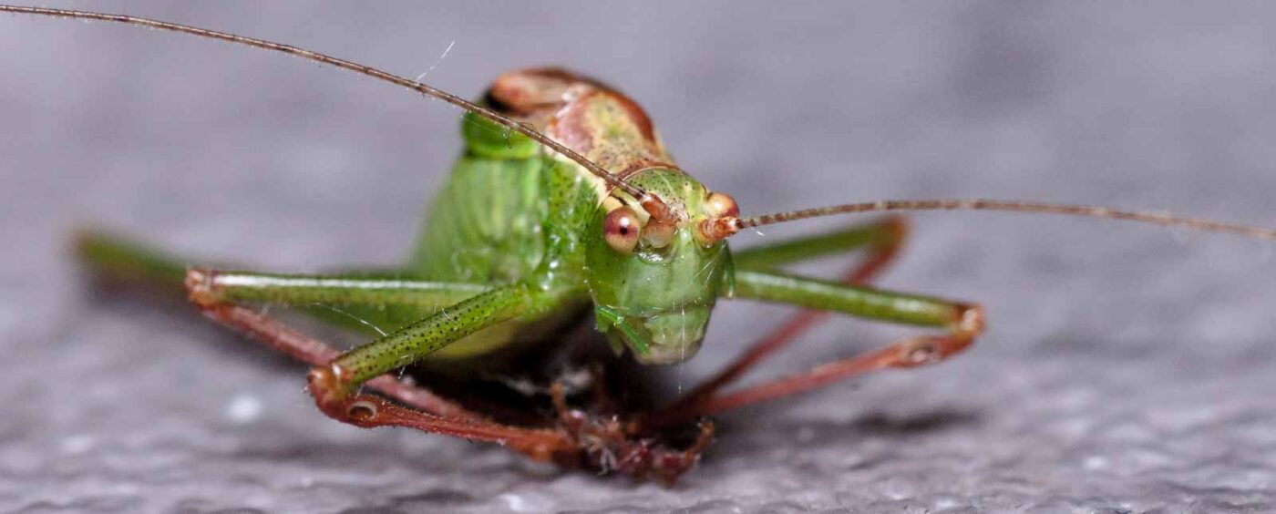 2019-07-29 - Residenzia - HolyHalla - Flüchtlinge