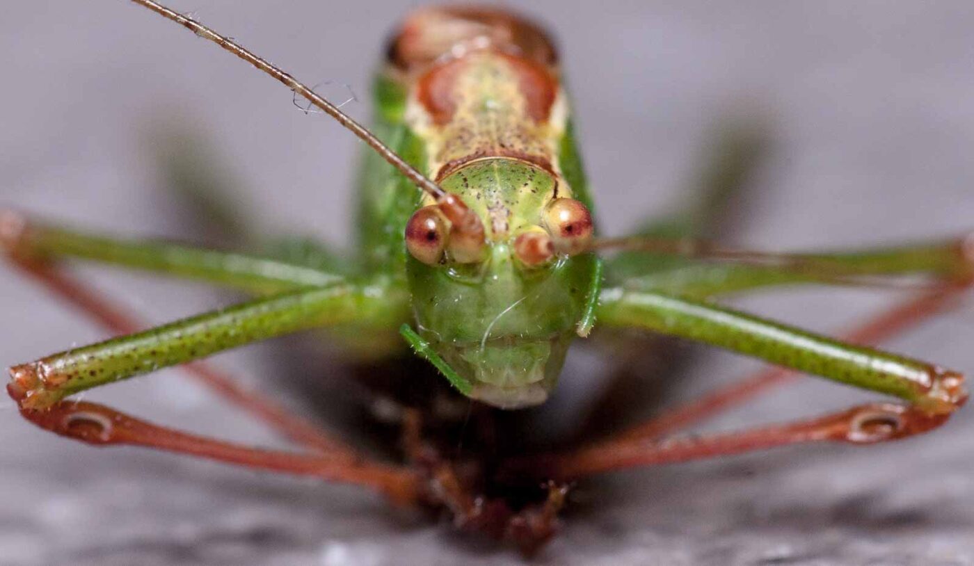 2019-07-29 - Residenzia - HolyHalla - Flüchtlinge