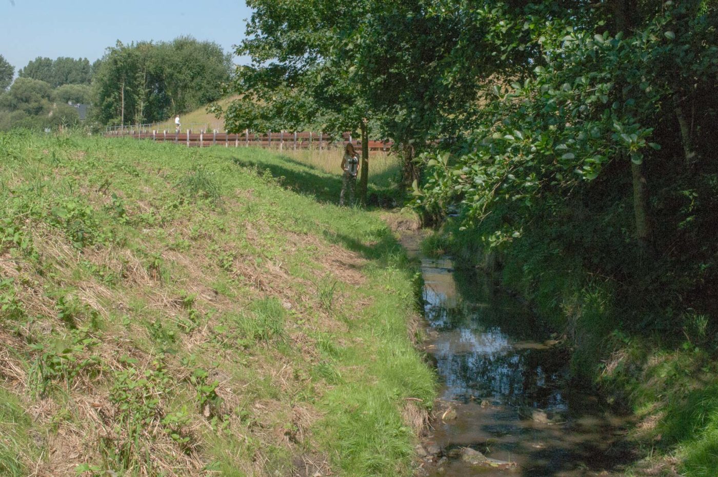 2016-08-26 - NSG Oberes Oelbachtal Bochum