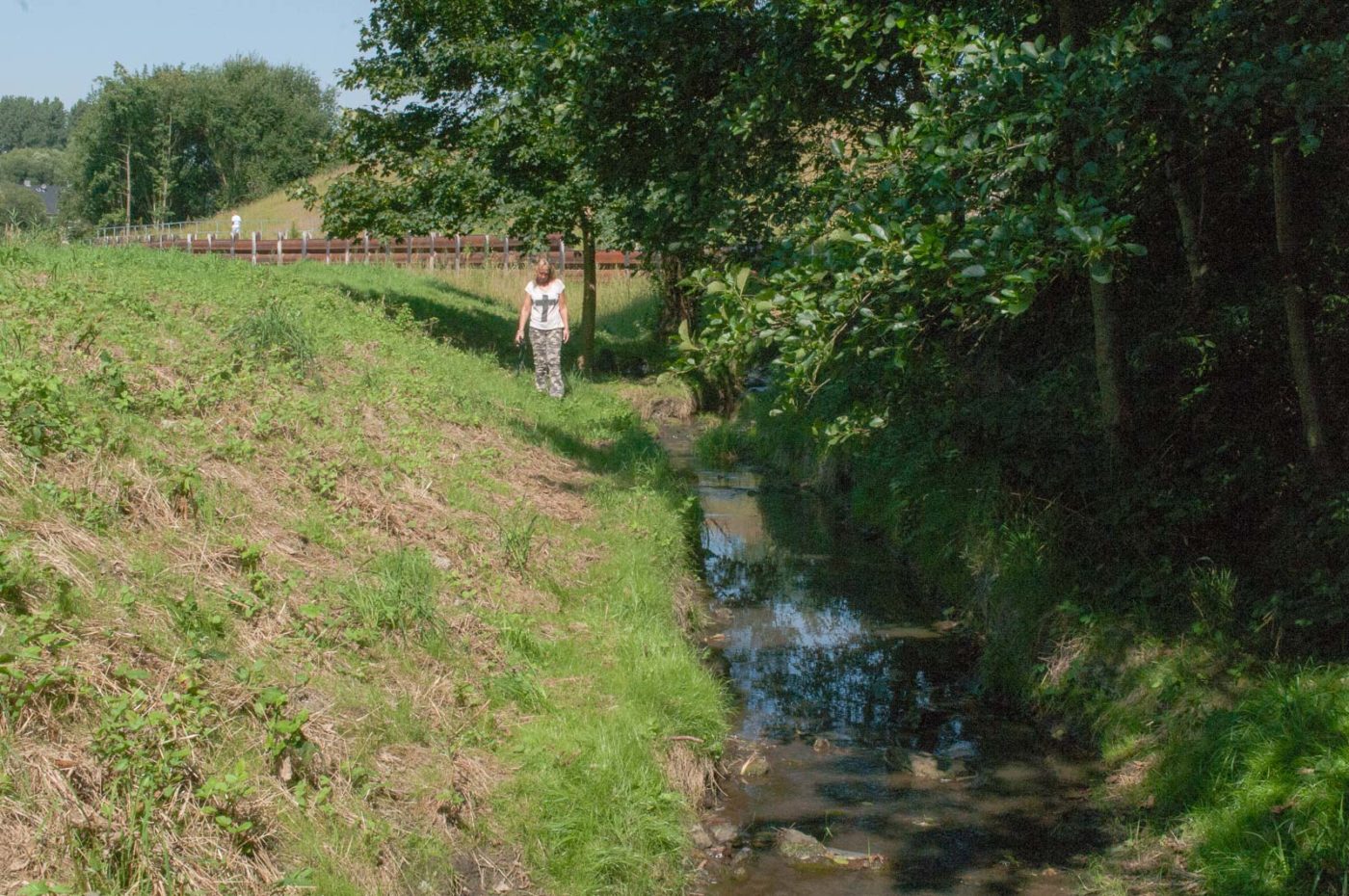 2016-08-26 - NSG Oberes Oelbachtal Bochum