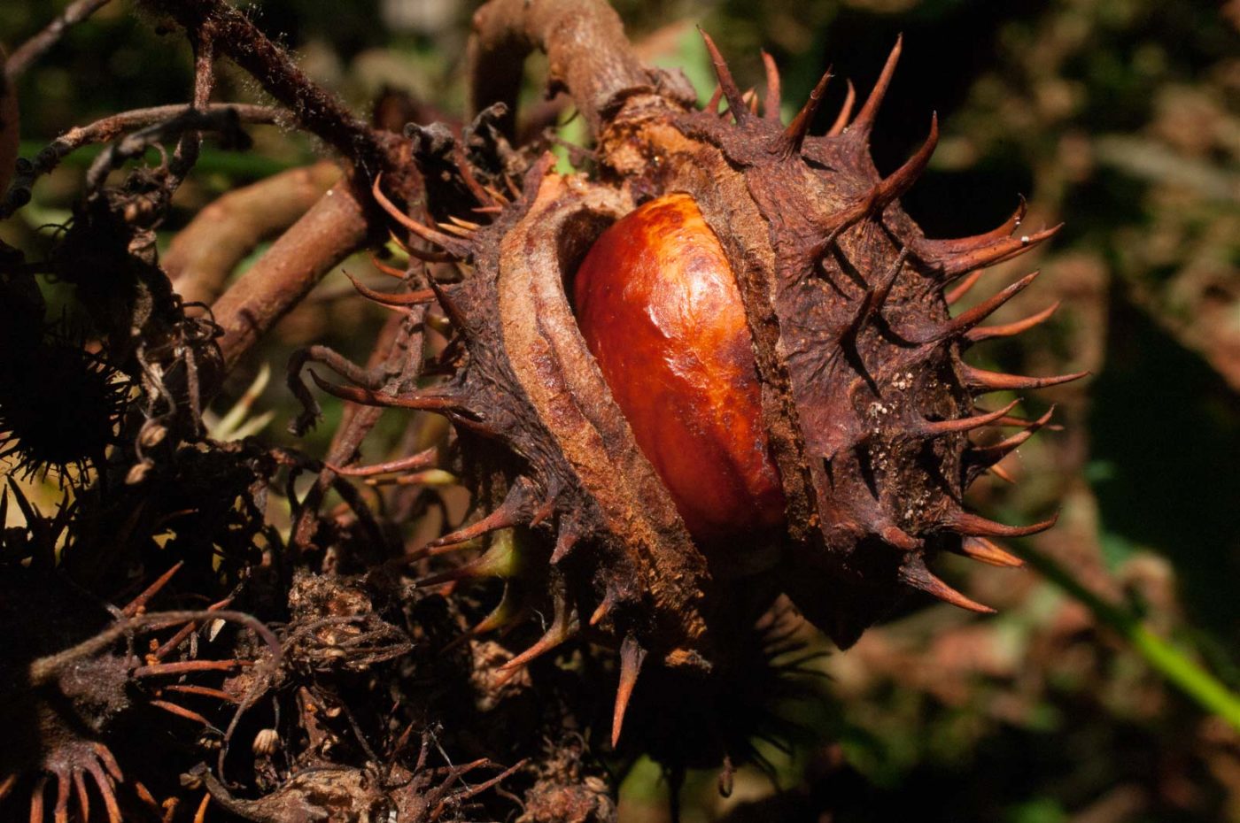 2016-08-28 - LSG Vossnacken Herne