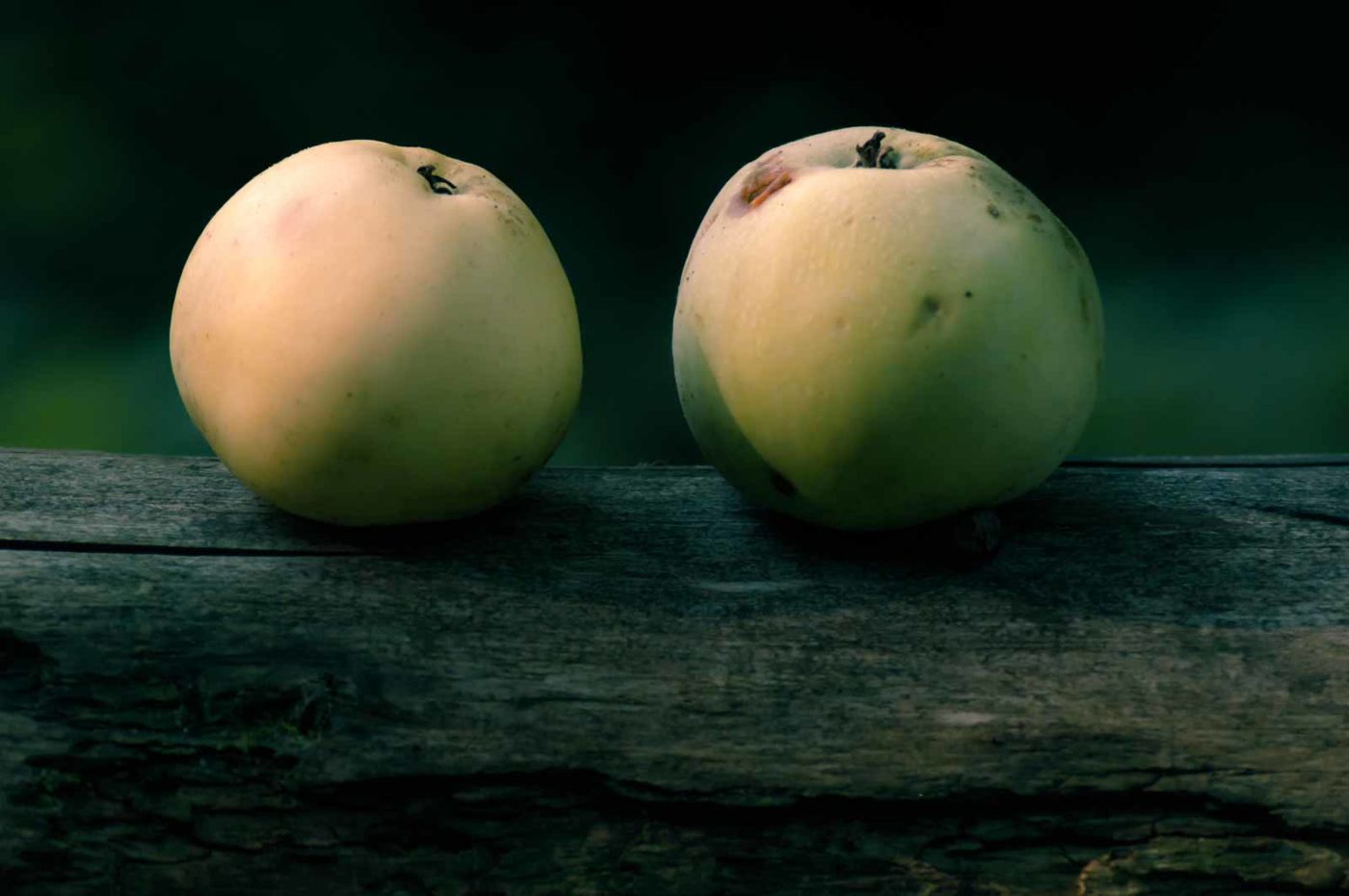 2016-08-28 - LSG Vossnacken Herne