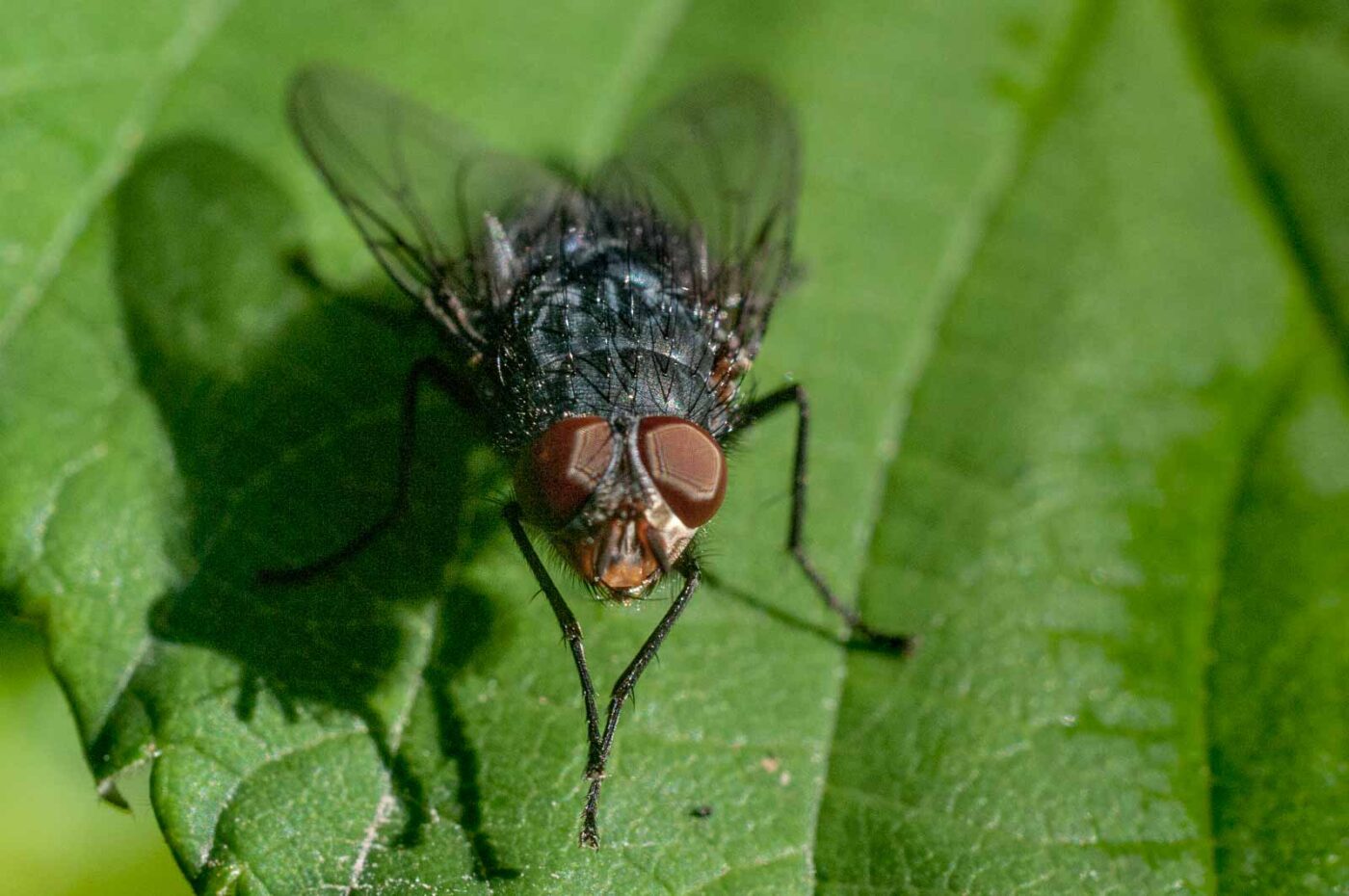 2016-08-28 - LSG Vossnacken Herne