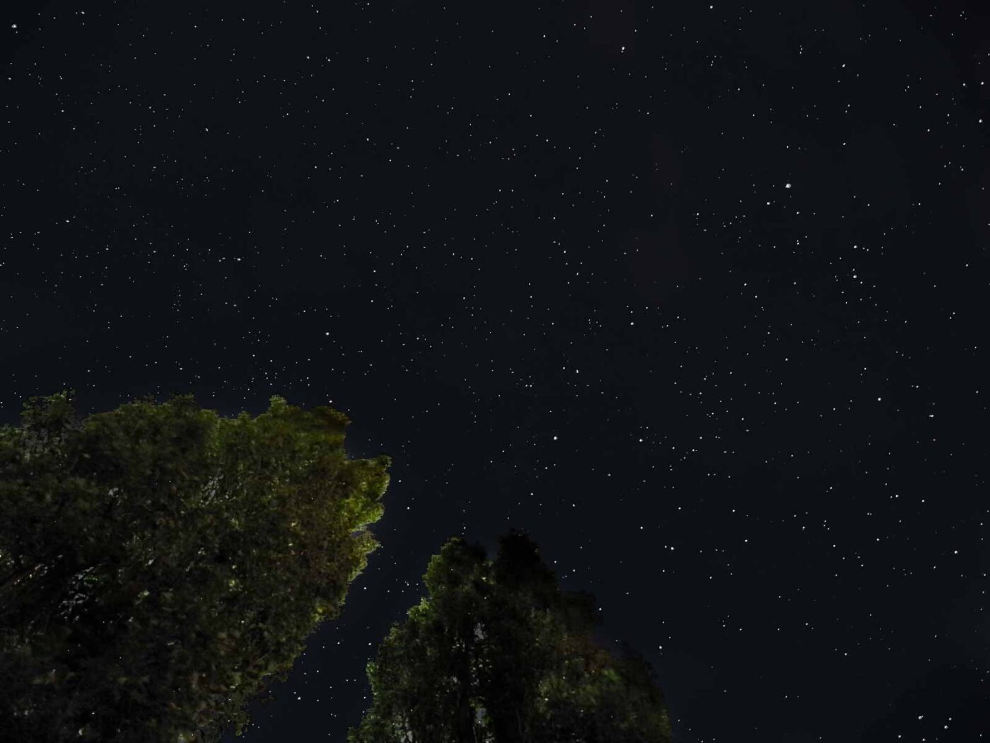 2019-08-02 - Halde Rheinelbe GE