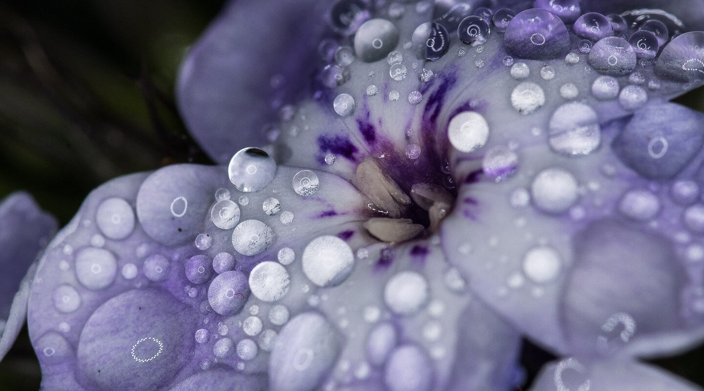 2019-09-16 – Residenzia – Balkon – Tropfenfotos