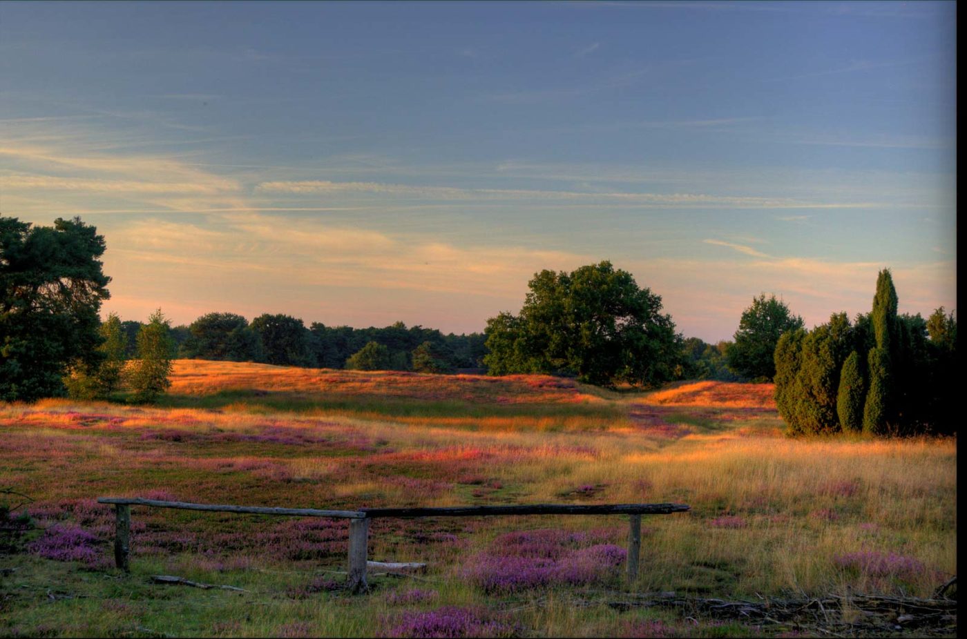 2016-09-06 - NSG Westruper Heide Haltern