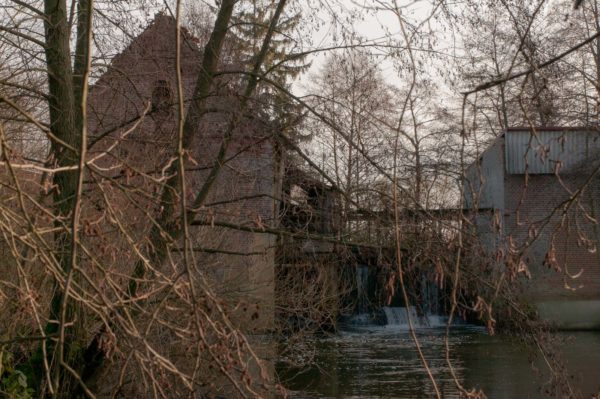 2019-12-10 - NSG Berkelaue Gescher